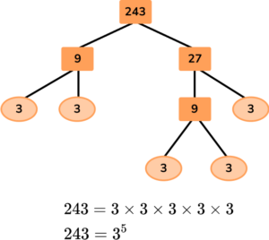 Factor Trees image 41 US